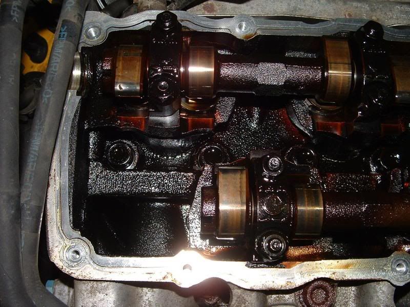 My timing chain broke!! 50 engine swap photos. VW Vortex Volkswagen